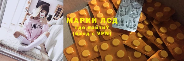ПСИЛОЦИБИНОВЫЕ ГРИБЫ Козловка
