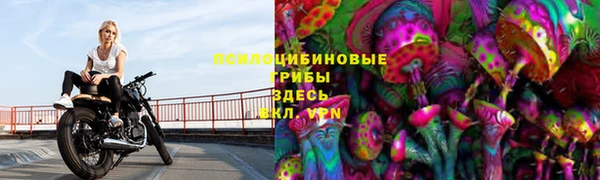 мяу мяу мука Кодинск