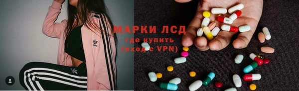 ПСИЛОЦИБИНОВЫЕ ГРИБЫ Козловка