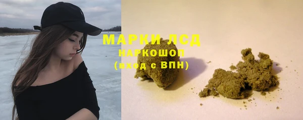 ПСИЛОЦИБИНОВЫЕ ГРИБЫ Козловка