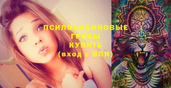 мяу мяу мука Кодинск