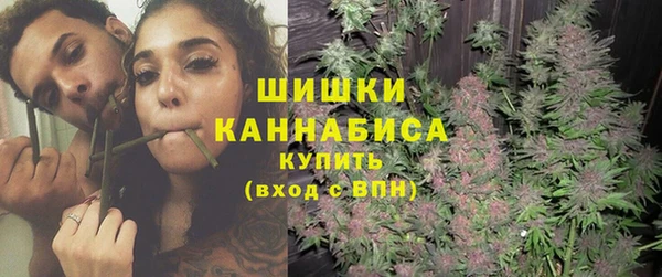 ПСИЛОЦИБИНОВЫЕ ГРИБЫ Козловка