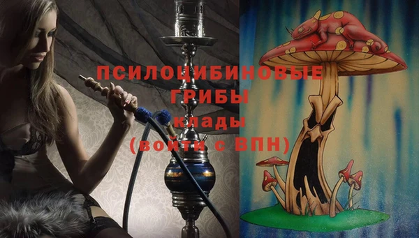 эйфоретик Козельск