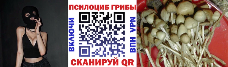 Галлюциногенные грибы Cubensis  Купить  Геленджик 