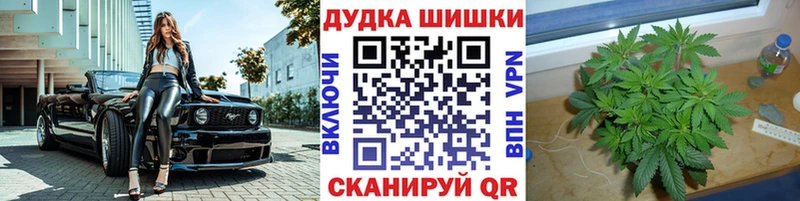 Купить закладки  Геленджик  Бошки Шишки планчик 